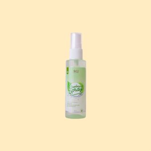 Deodorant Spray Reguler